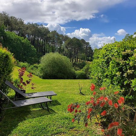 Superbe appartement avec jardin Bidart Biarritz Extérieur photo
